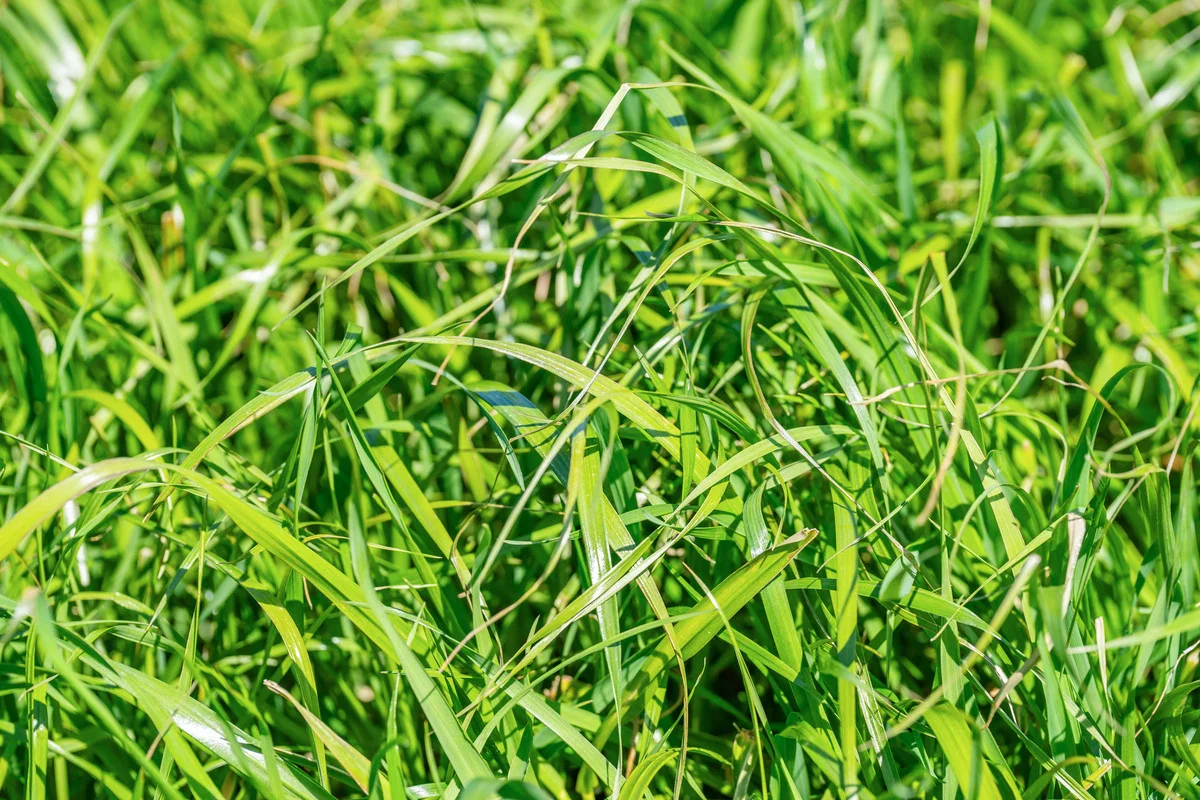 Additional image 9 of 12 Evans Road, Cudgewa VIC 3705