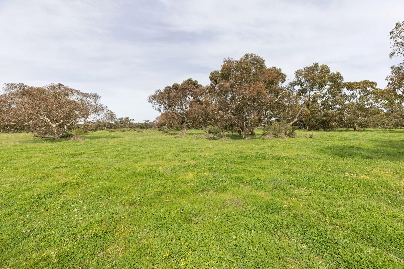 Additional image 28 of 18462 Princes Highway, Kingston Se SA 5275