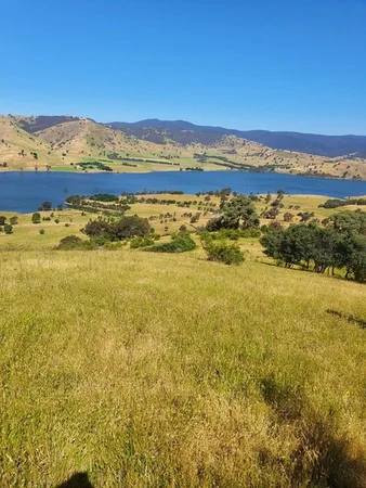 Additional image 11 of 8010 River Road, Talmalmo NSW 2640