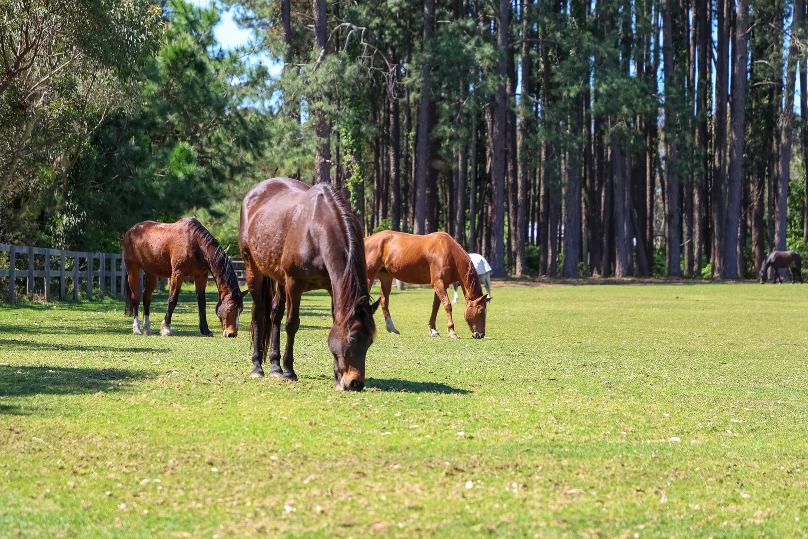 Additional image 35 of 161 Grants Road, Somersby NSW 2250