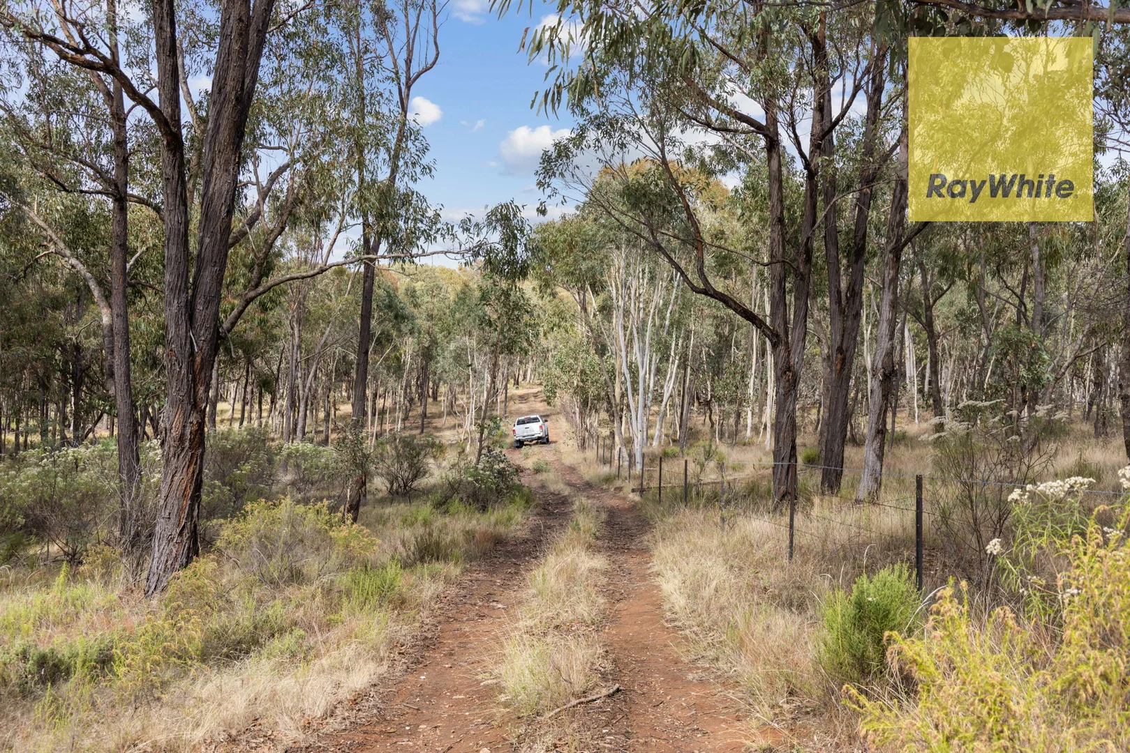 Additional image 8 of 1013 Bigga Road, Crooked Corner NSW 2583