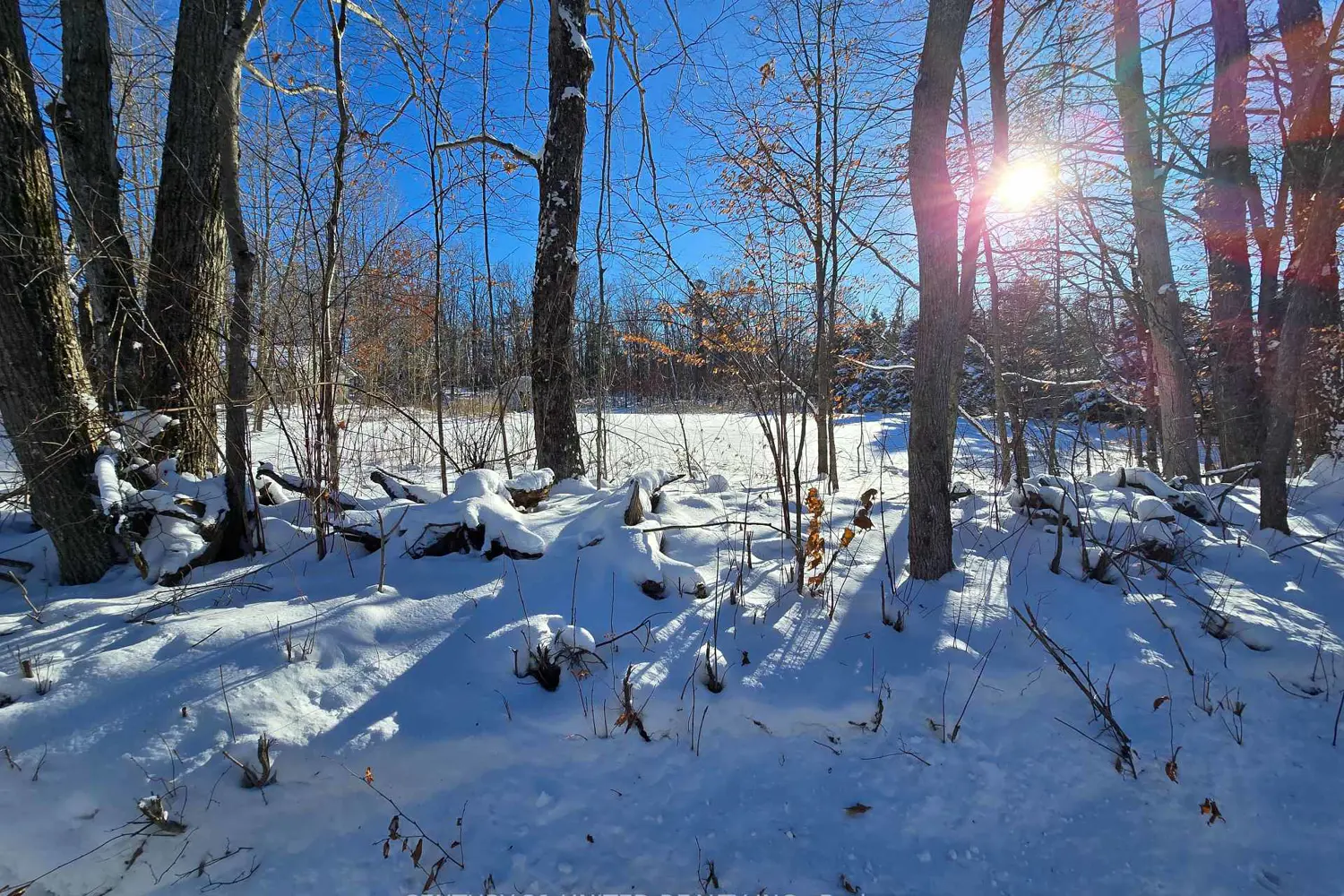 81 Vansickle Trail photo 4