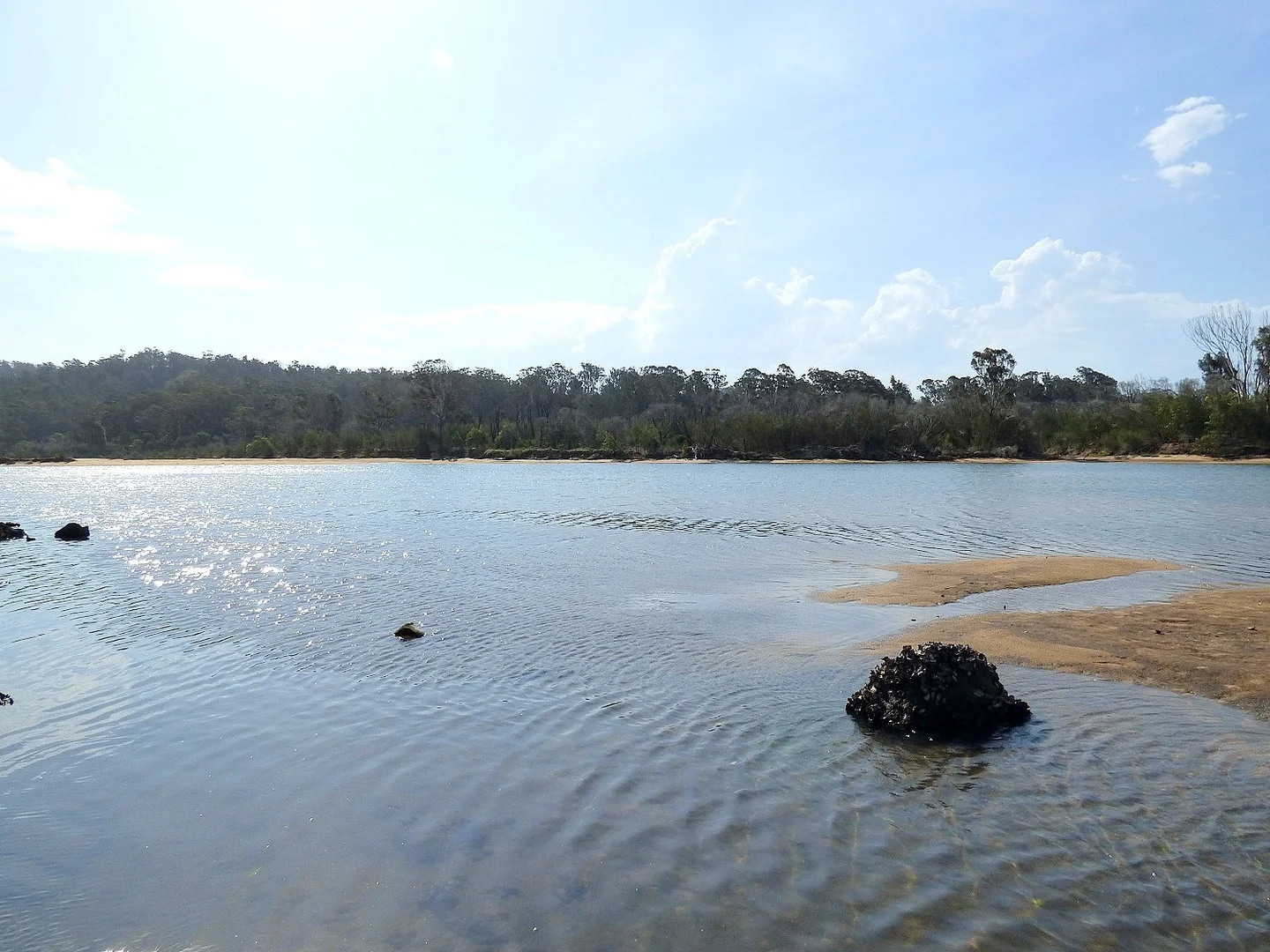 Additional image 17 of Lot 6 'Pittosporum Place', Boyd Road Kiah Via, Eden NSW 2551