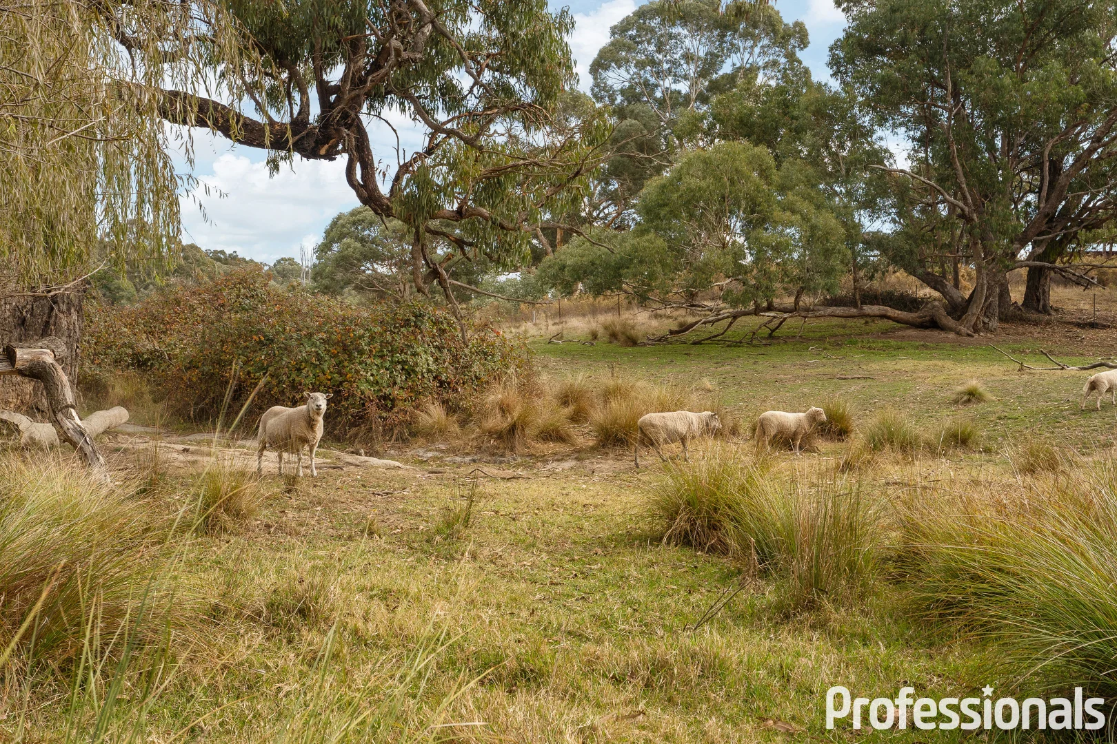 Additional image 31 of 2042 Hill End Road, Sallys Flat NSW 2850