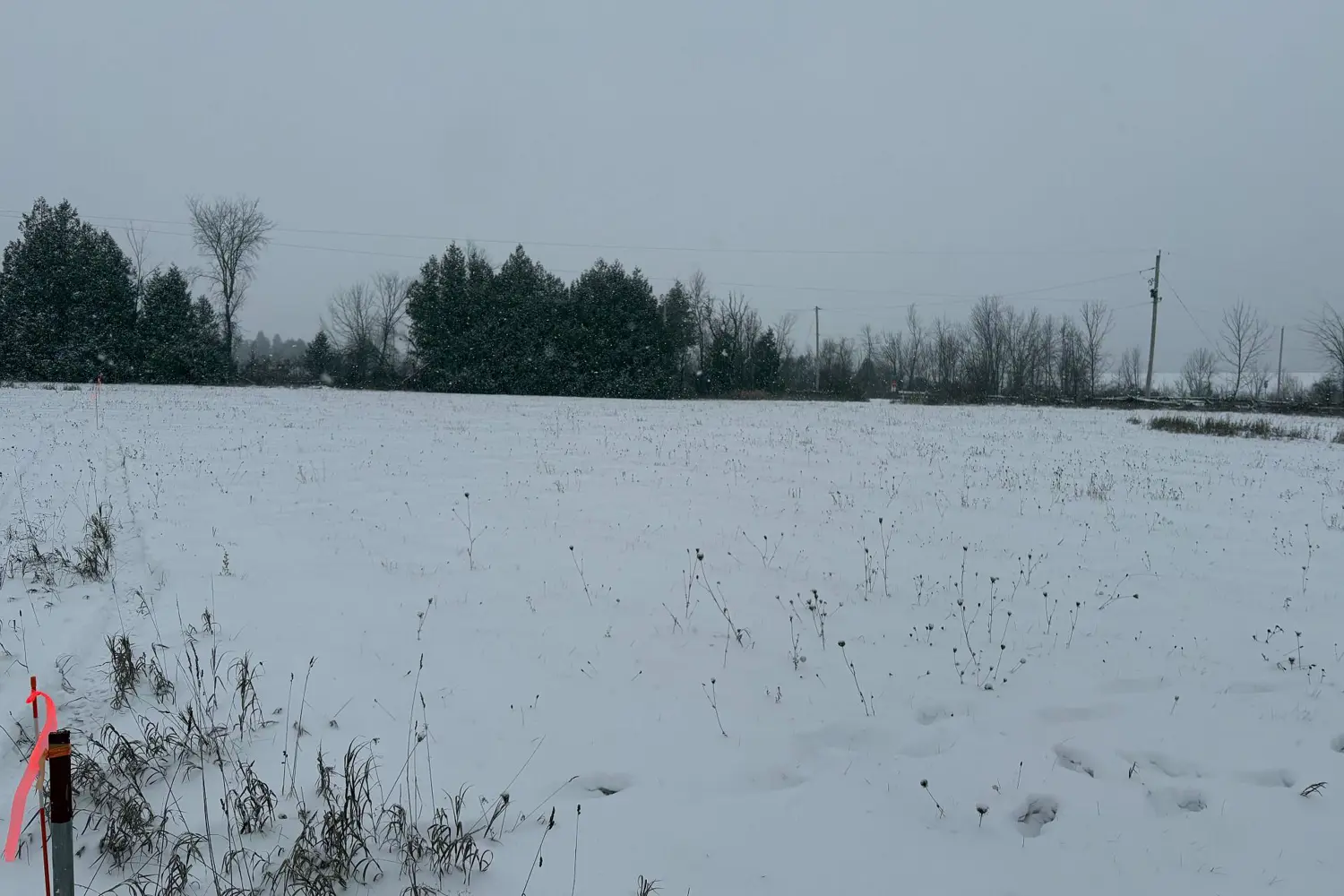 Additional image 5 of 0 Cooney Island Road