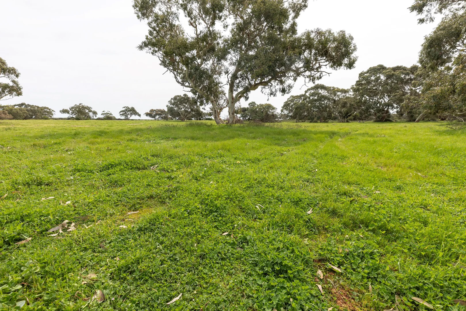 Additional image 27 of 18462 Princes Highway, Kingston Se SA 5275