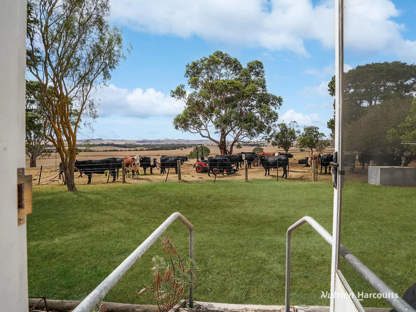 Additional image 25 of 138 Mcconachys Road, Henty VIC 3312