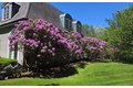 Additional image 5 of 38 Tiffany Rd, Oyster Bay Cove, NY, 11771