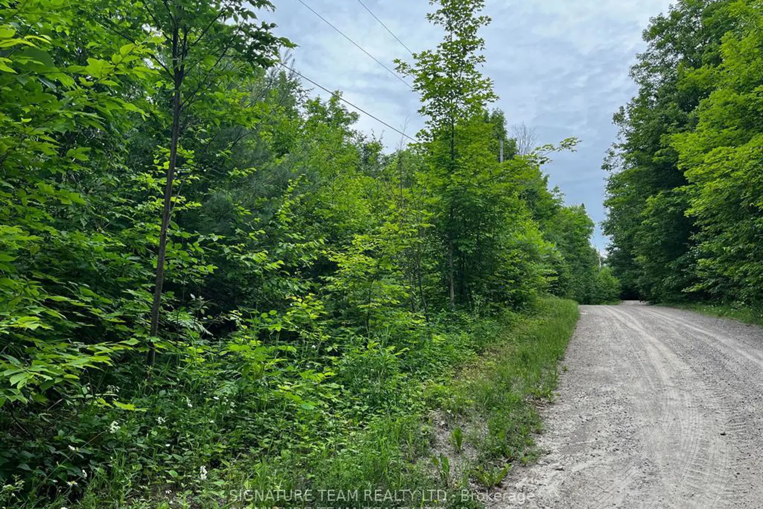 Additional image 4 of 90 Broome Road