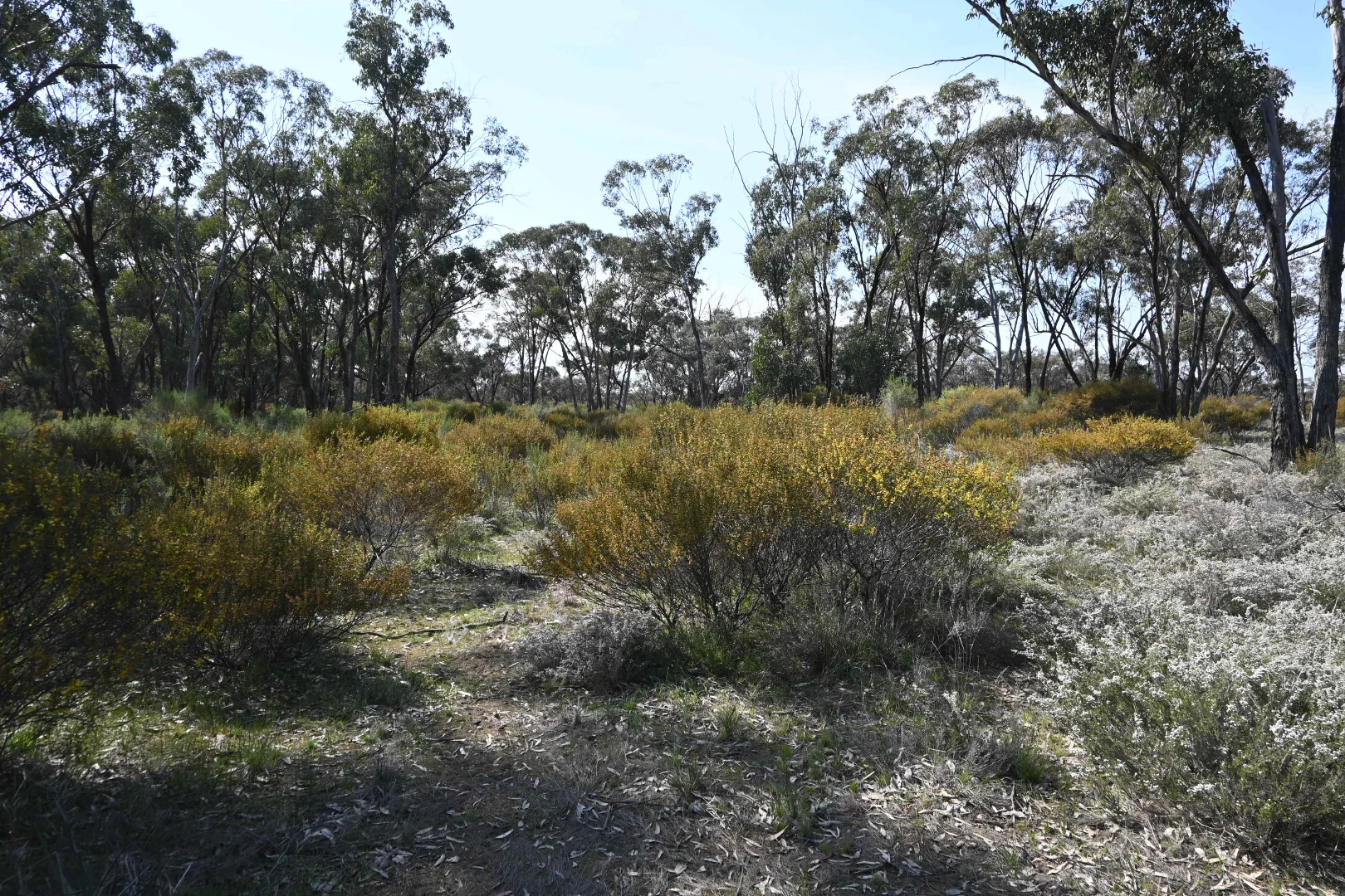 Additional image 5 of 17, A KURTING KINGOWER ROAD, Kingower VIC 3517