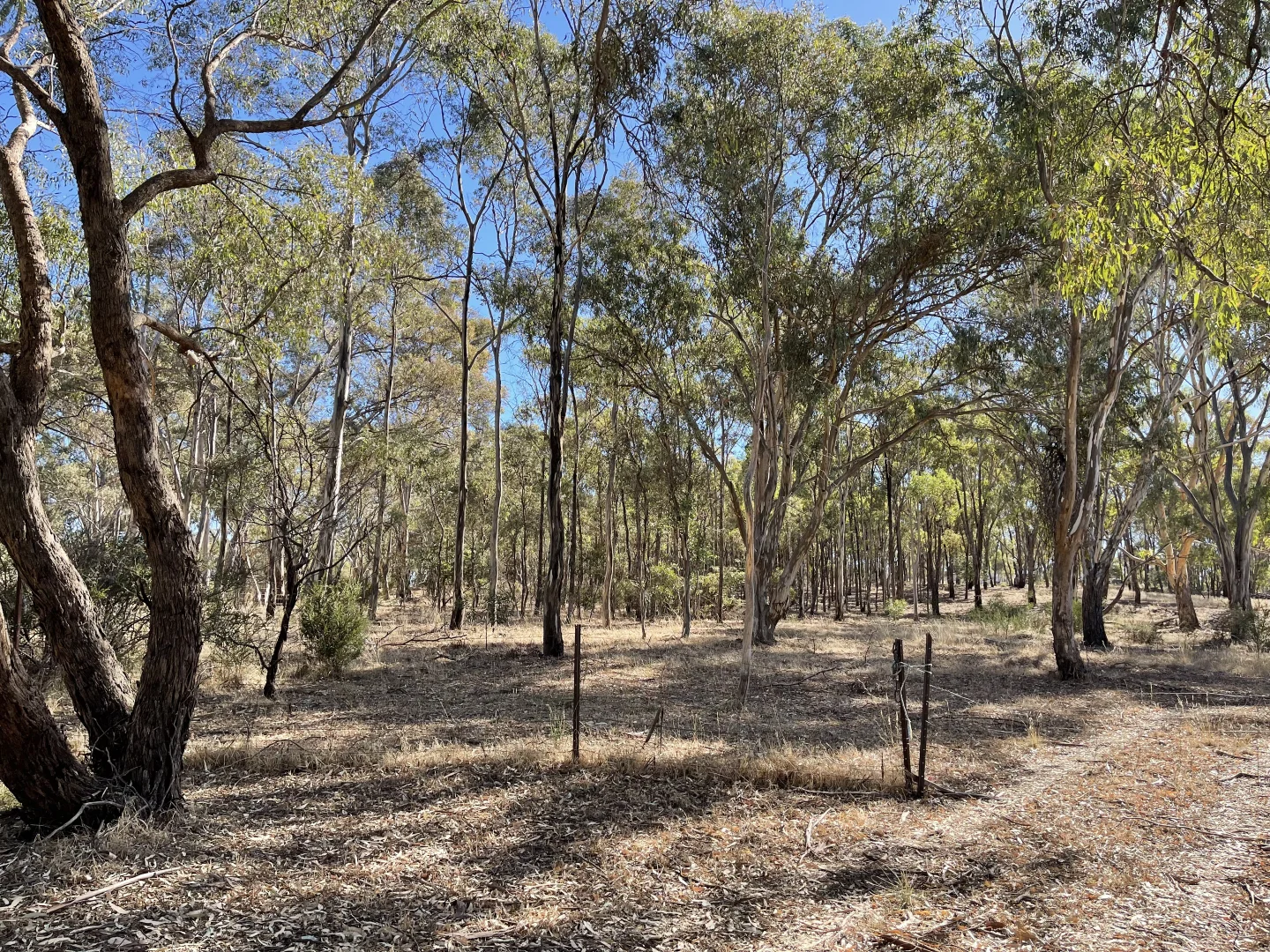 Additional image 8 of 1 Corner Wimmera Highway & Carr Road, St Arnaud VIC 3478