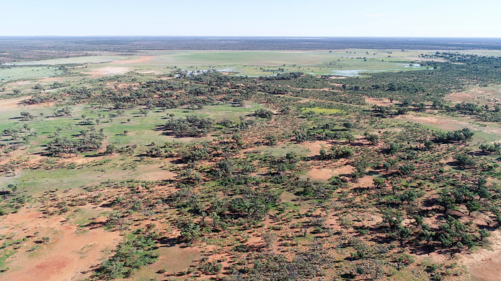 Additional image 4 of 'Wyuna & Neverfail' 5643 Pitherty Road, Eulo QLD 4491