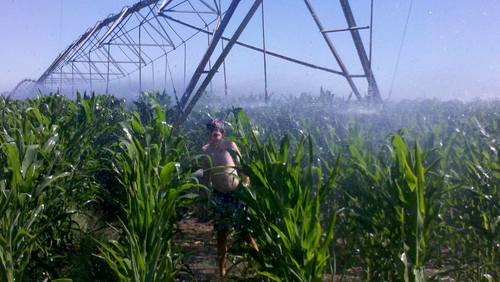 Additional image 8 of 10690 The Escort Way, Forbes NSW 2871