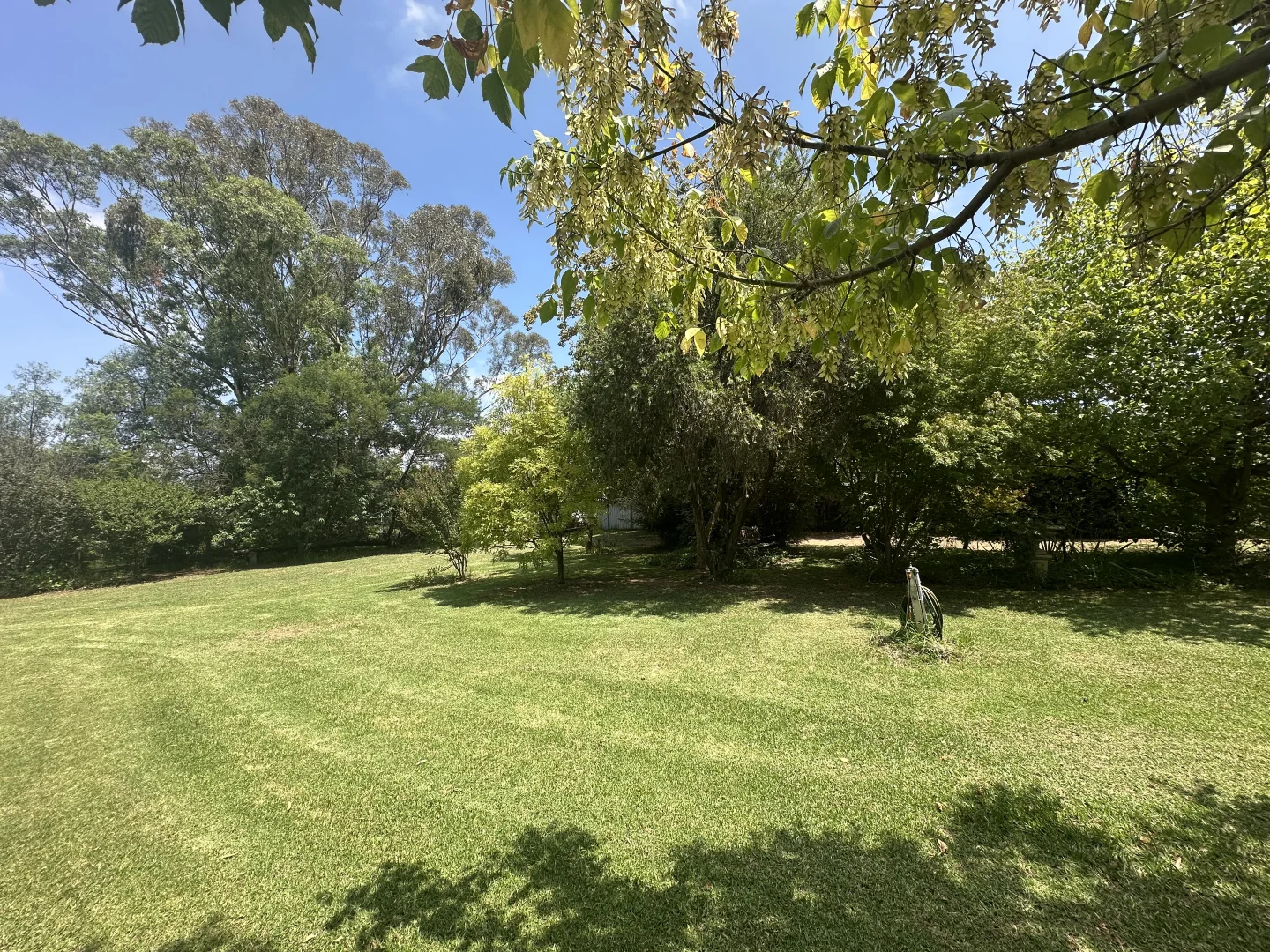 Additional image 27 of Cloudy Hill/82 Goddard Street, Coolah NSW 2843
