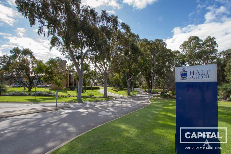 Additional image 21 of 157c Woodside St, Doubleview WA 6018