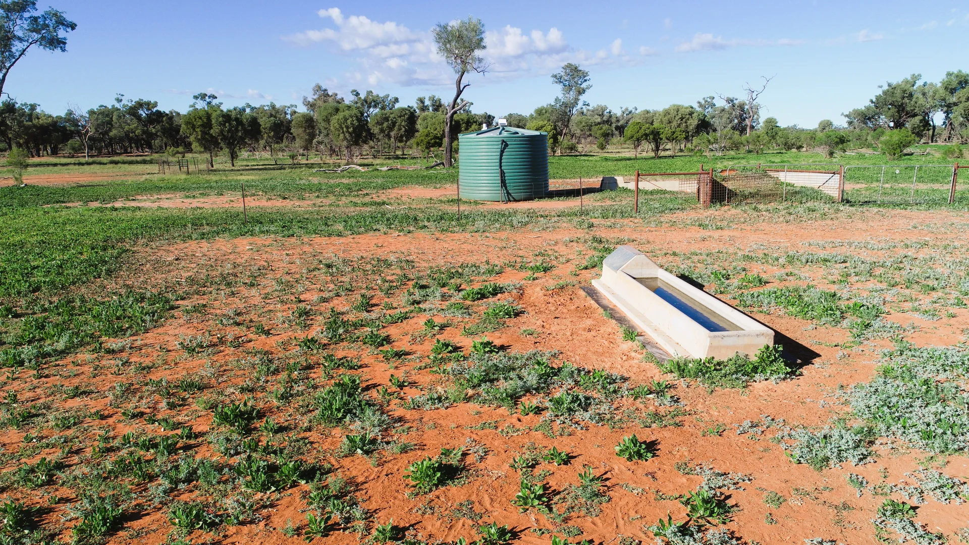 Additional image 10 of 'Wyuna & Neverfail' 5643 Pitherty Road, Eulo QLD 4491