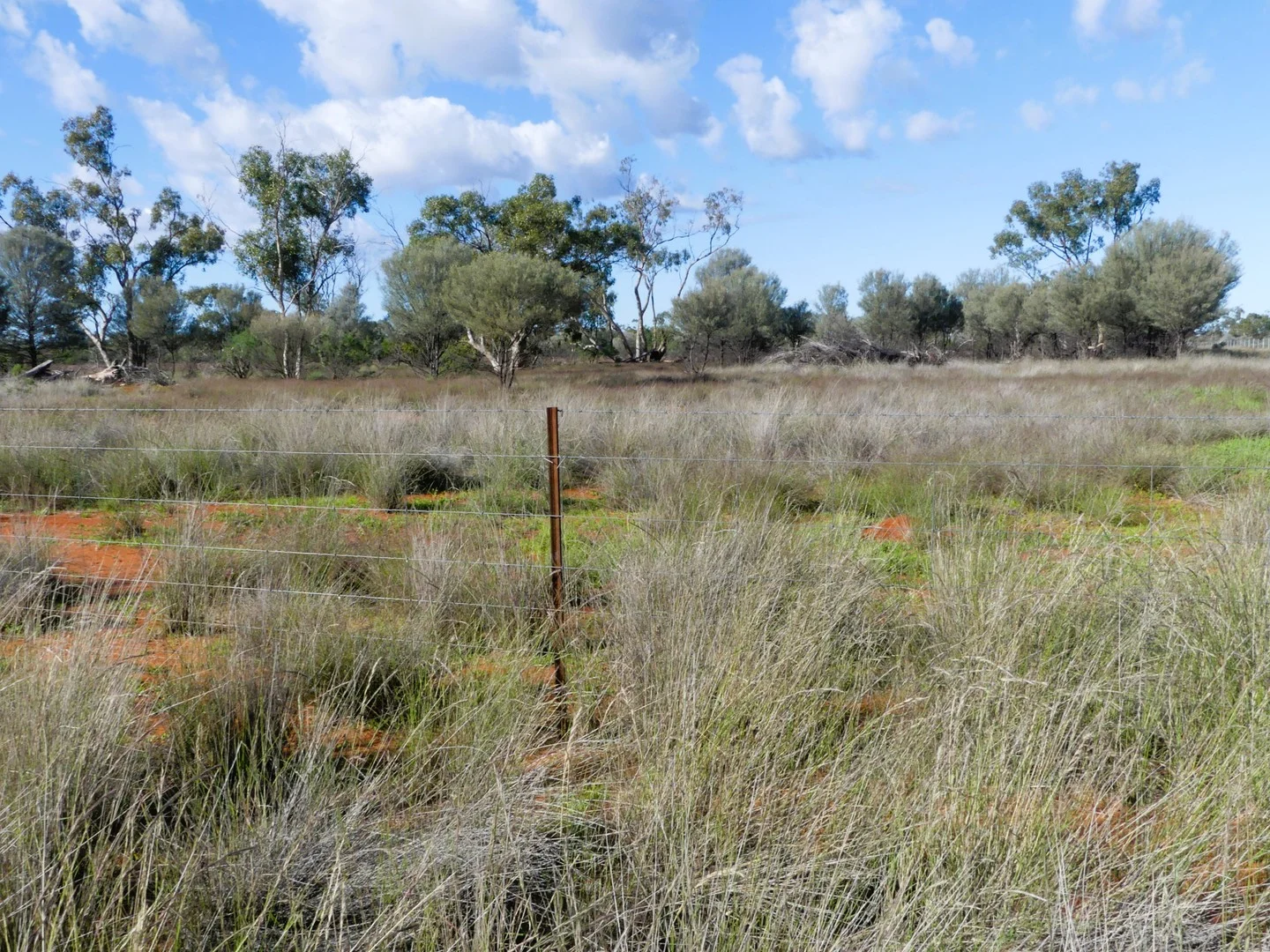 Additional image 6 of 'Wyuna & Neverfail' 5643 Pitherty Road, Eulo QLD 4491