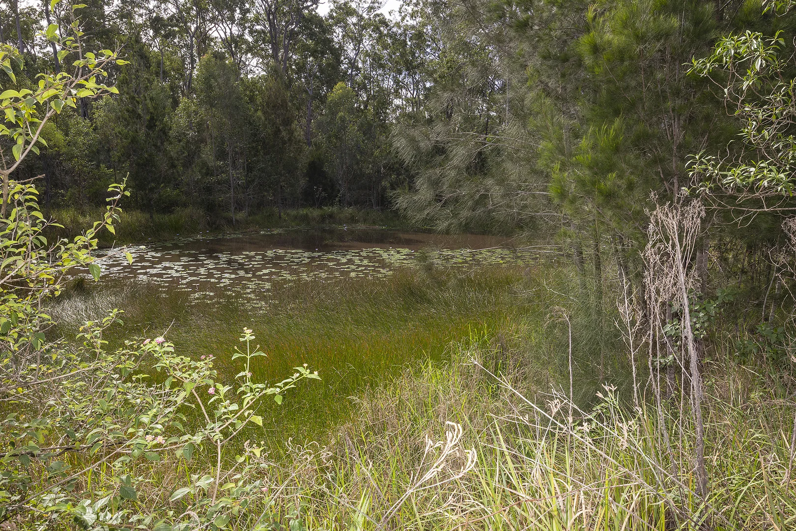 Additional image 17 of 538 Locketts Crossing Rd, Coolongolook NSW 2423