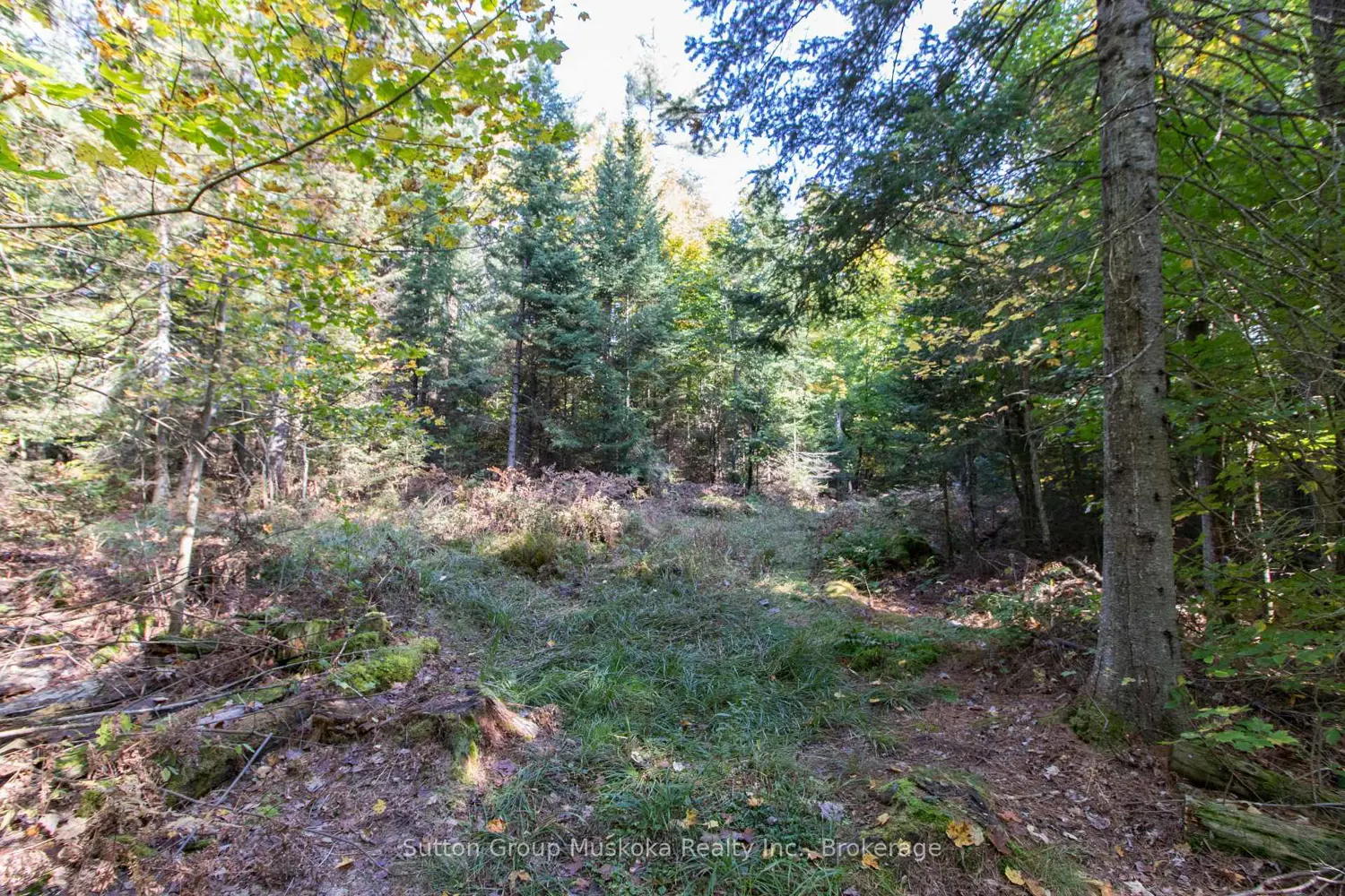 Additional image 8 of 0 Lynx Lake Road