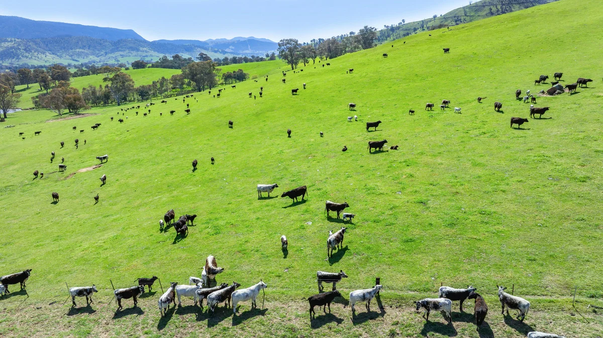 Additional image 28 of 12 Evans Road, Cudgewa VIC 3705