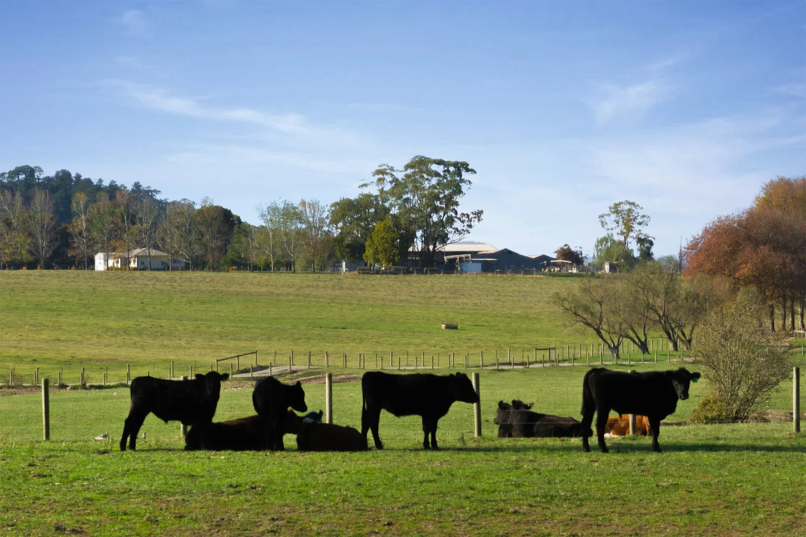 Additional image 6 of 2 MAROONDAH Highway, Healesville VIC 3777