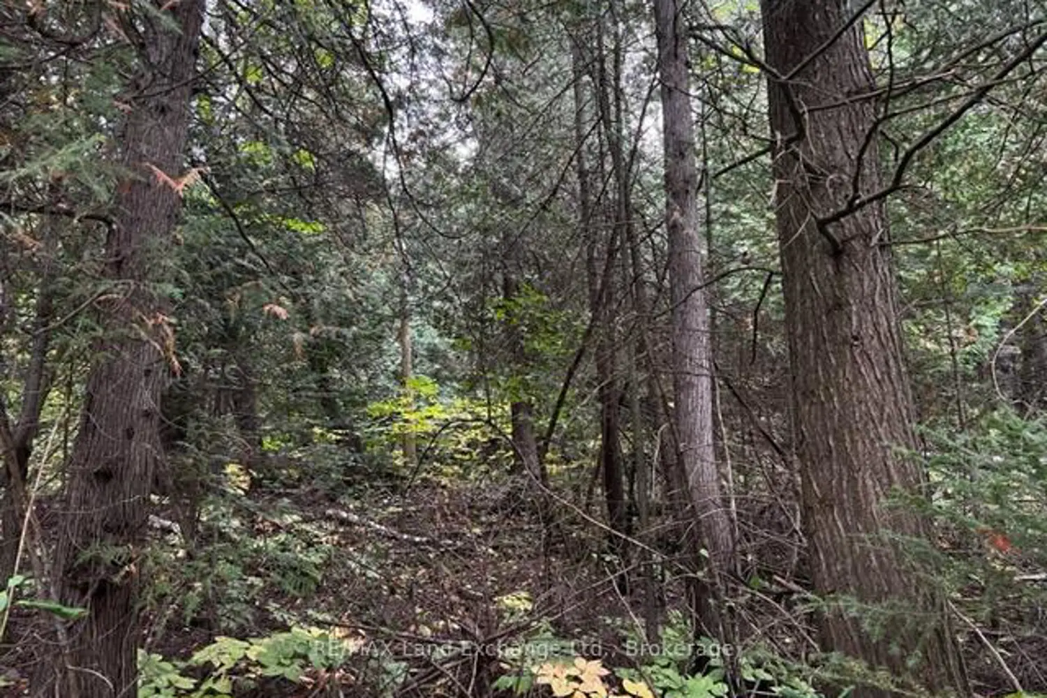 Additional image 7 of 7 Shore Road