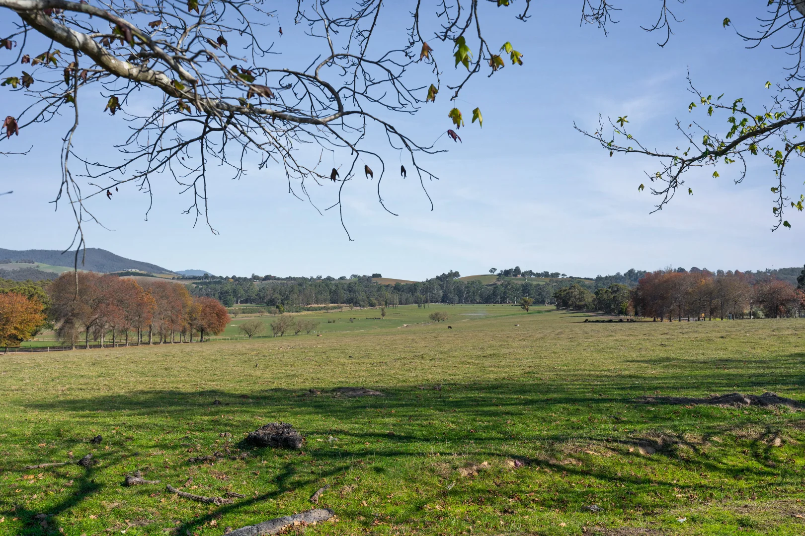 Additional image 2 of 2 MAROONDAH Highway, Healesville VIC 3777