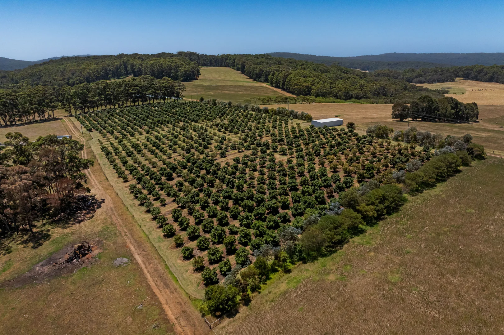 Additional image 11 of 203 Clarke Road, North Walpole WA 6398