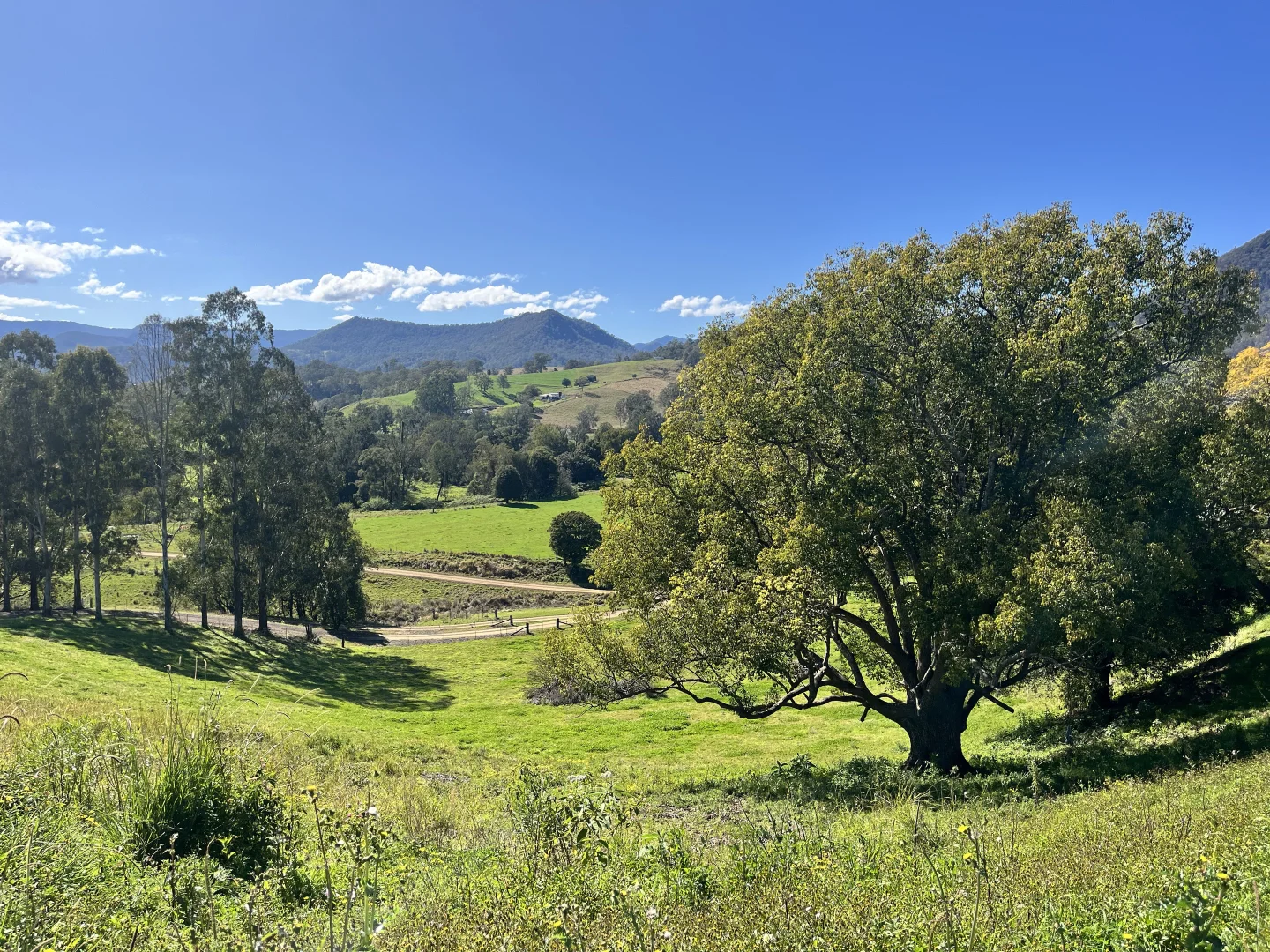 Additional image 27 of 273 Ferndale Rd, Kyogle NSW 2474