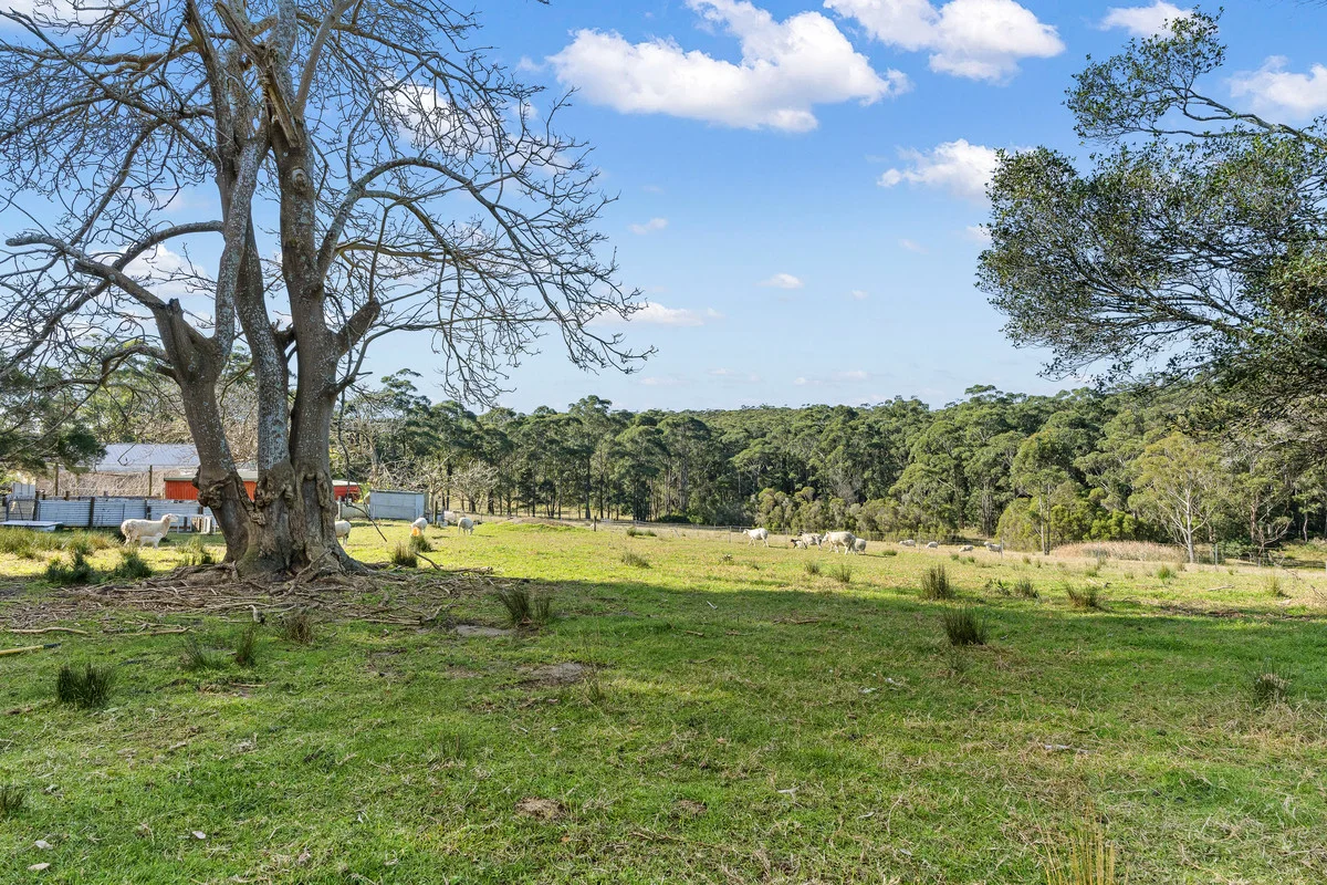 Additional image 36 of 43 The Heights, Narrawallee NSW 2539