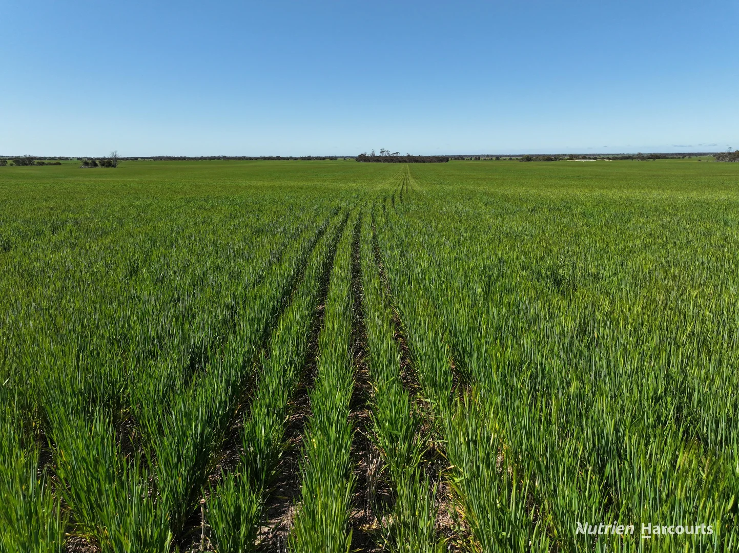 Additional image 8 of 1630 Mindarabin Road, Mindarabin WA 6336