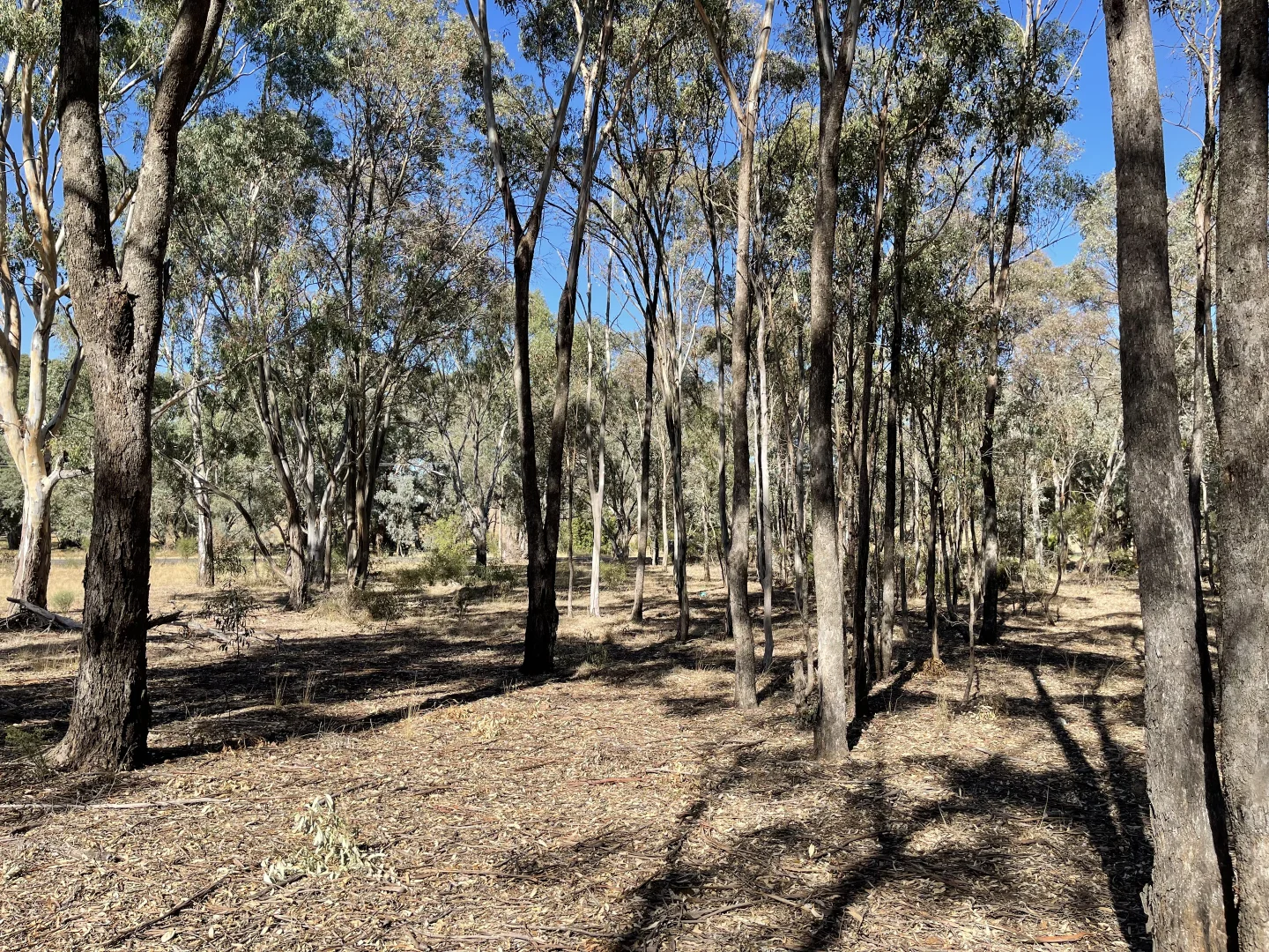 Additional image 19 of 1 Corner Wimmera Highway & Carr Road, St Arnaud VIC 3478