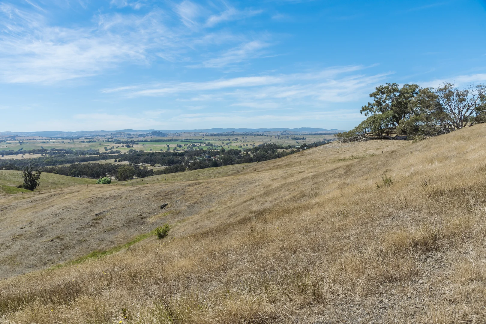 Additional image 16 of 679 Dallistons Road, Barfold VIC 3444