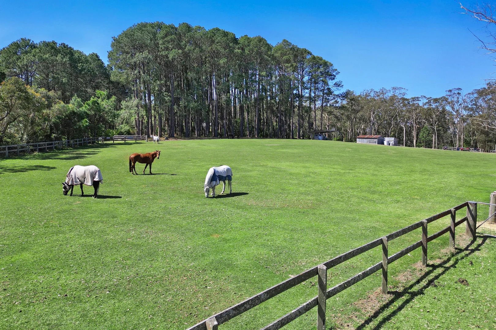 Additional image 16 of 161 Grants Road, Somersby NSW 2250