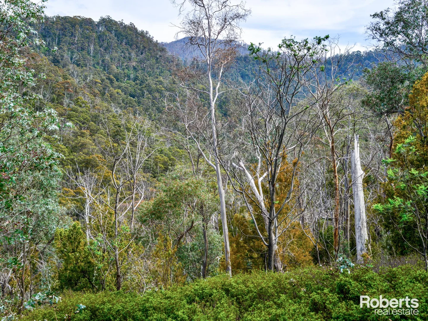 Additional image 15 of 869 Back River Road, Magra TAS 7140