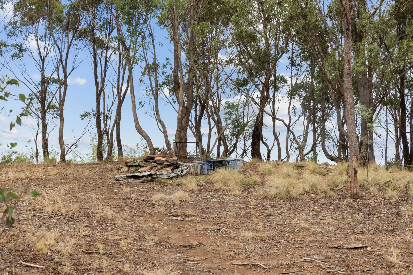 Additional image 14 of 1013 Bigga Road, Crooked Corner NSW 2583