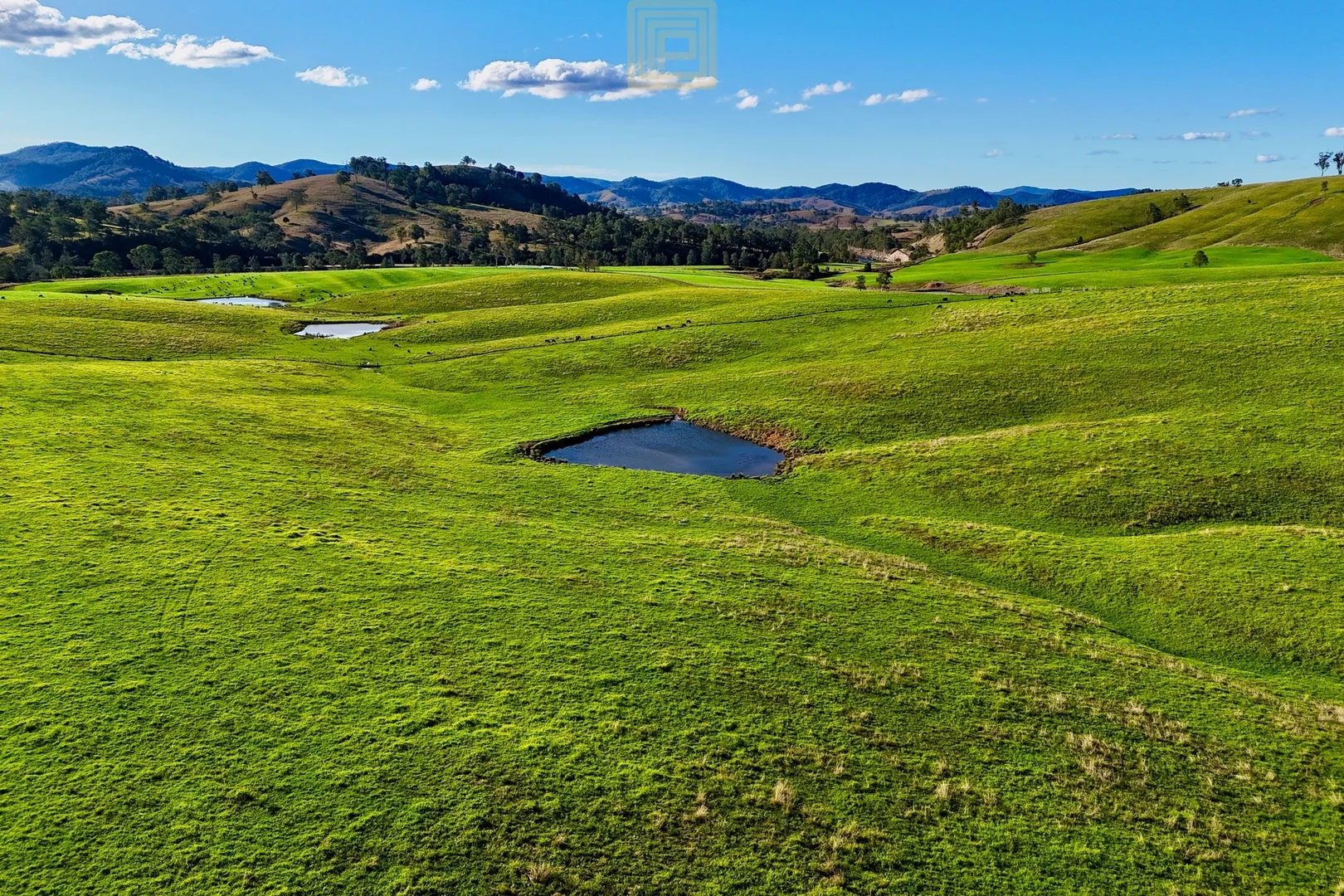 Additional image 4 of 455 The Bucketts Way, Gloucester NSW 2422
