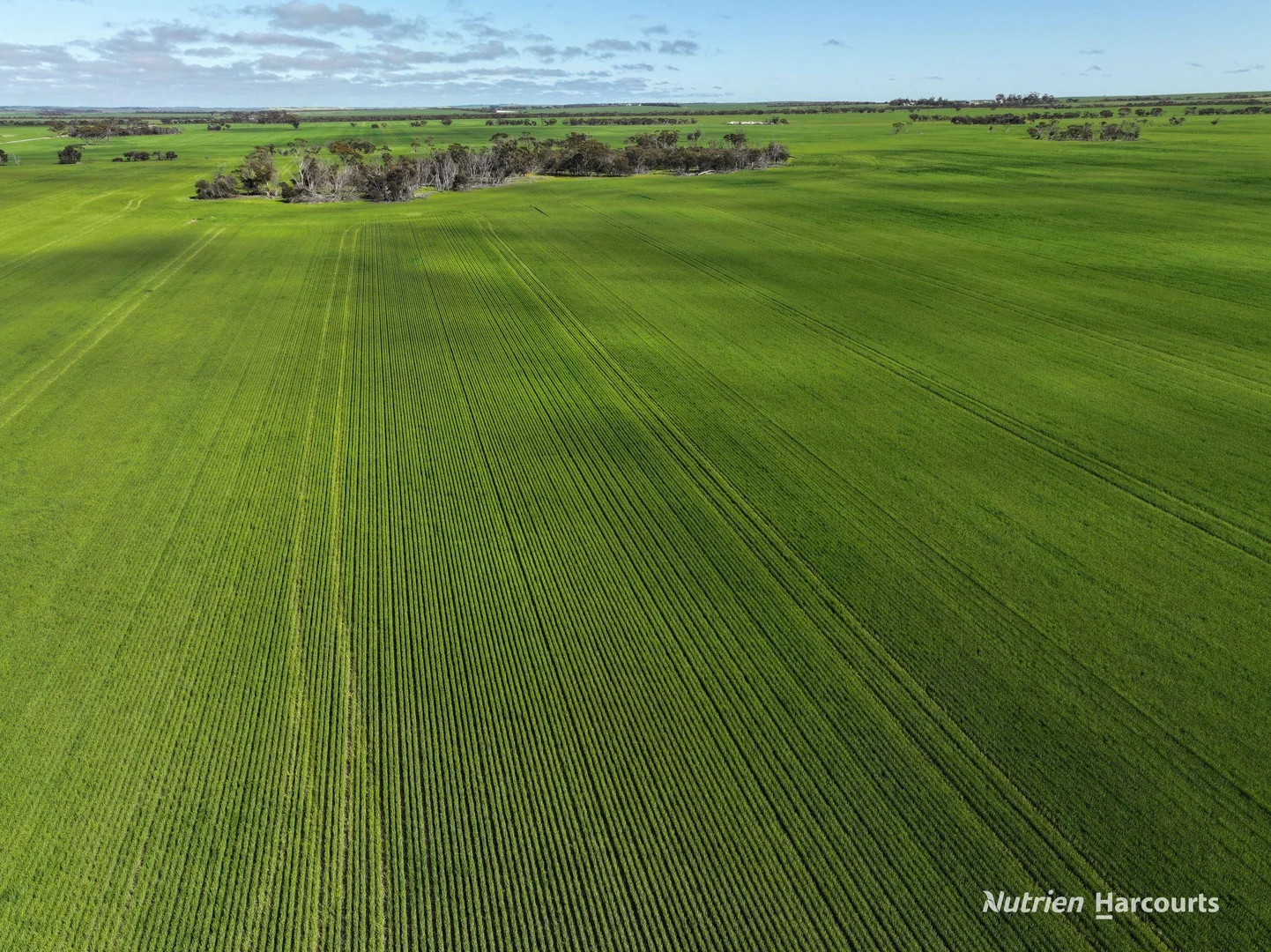 Additional image 6 of 1630 Mindarabin Road, Mindarabin WA 6336