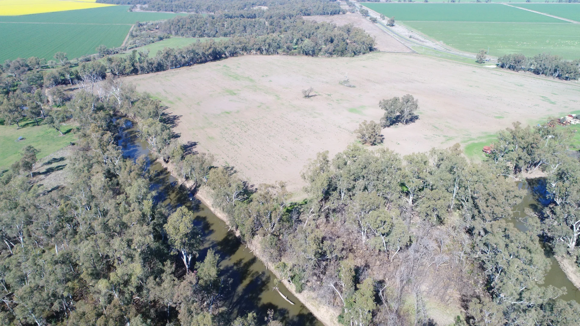 Additional image 13 of Warren NSW 2824