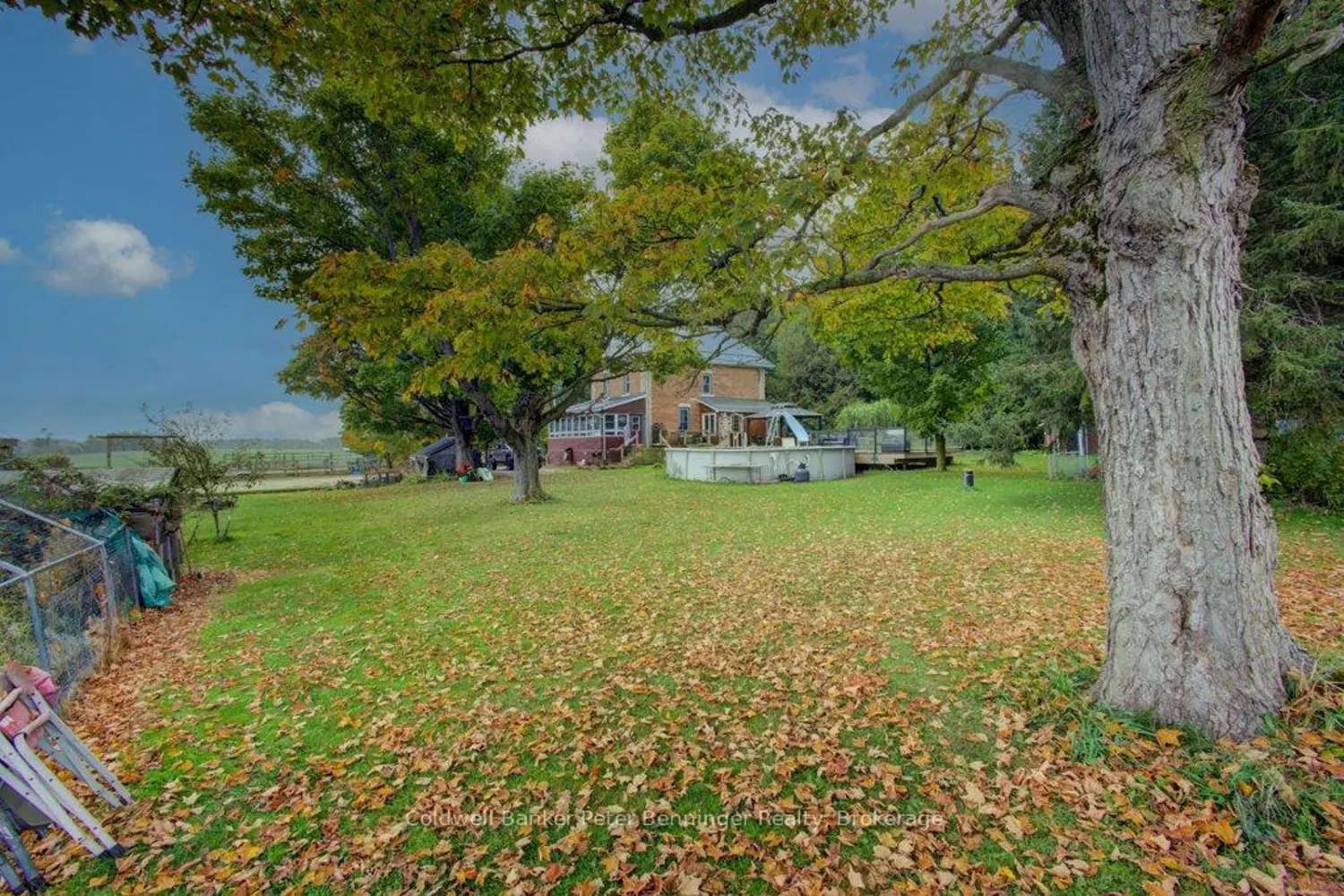 Additional image 15 of 185197 Grey Road 9 Road