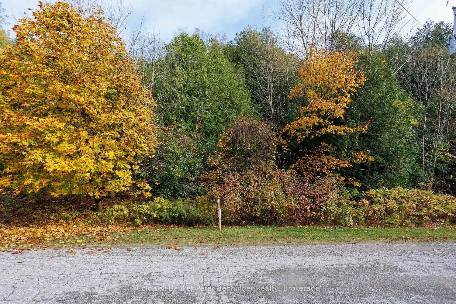 Additional image 12 of Lt 17 Pl 594 Courtney Court