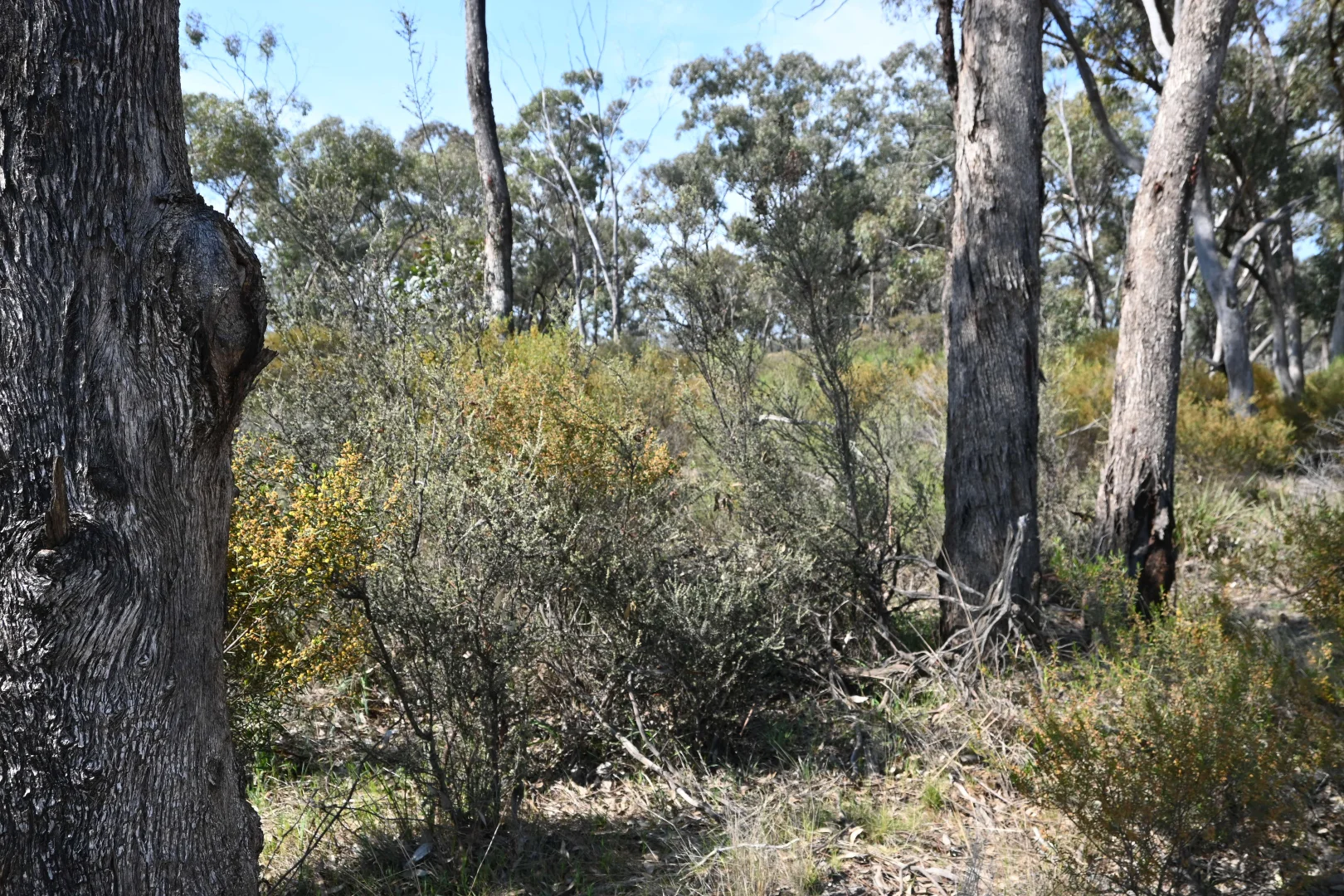 Additional image 11 of 17, A KURTING KINGOWER ROAD, Kingower VIC 3517