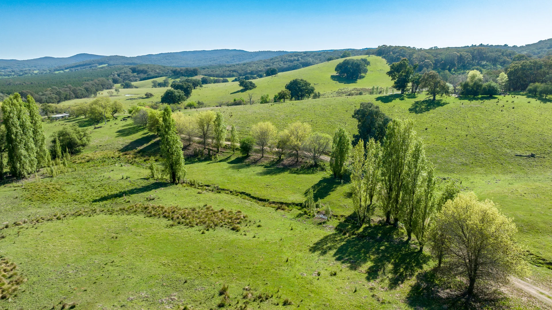 Additional image 5 of 1596 Four Mile Lane, Little Billabong NSW 2644