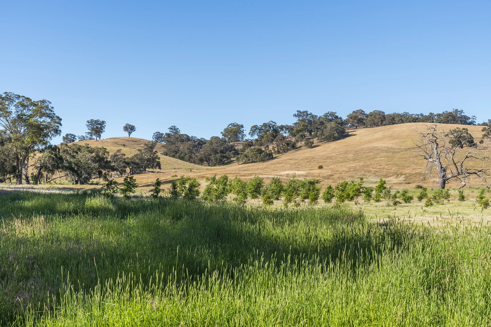 Additional image 8 of 679 Dallistons Road, Barfold VIC 3444