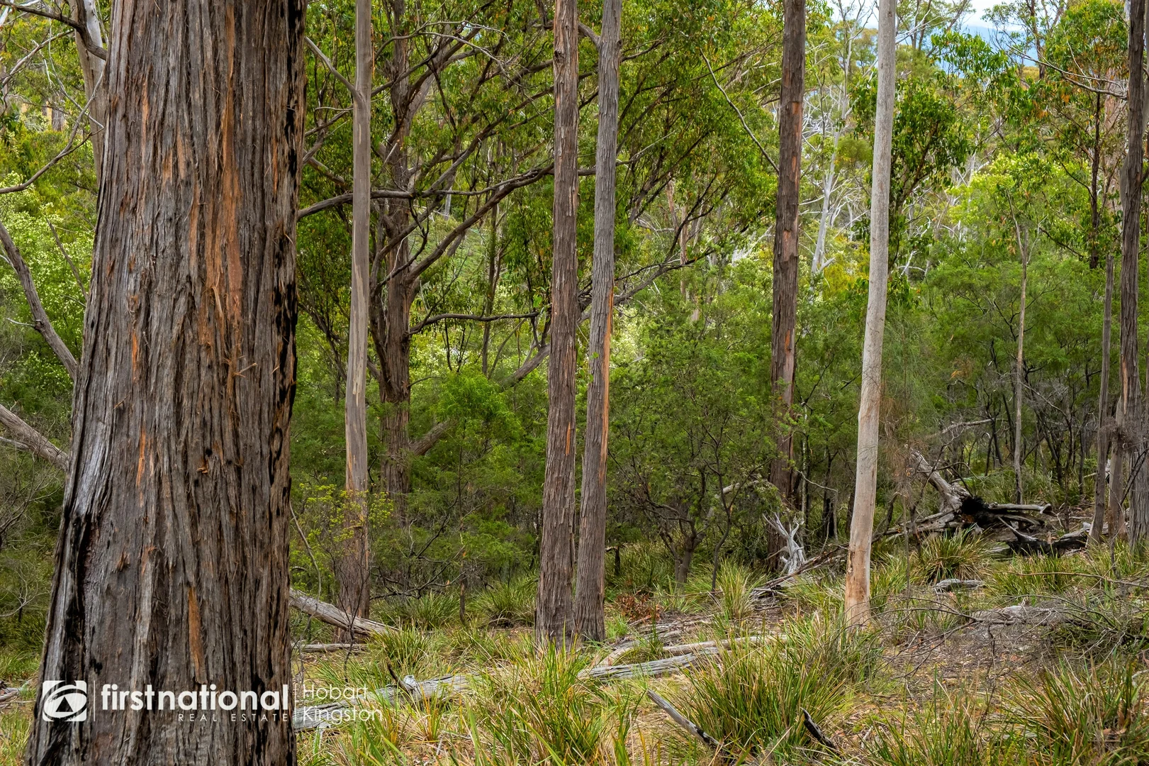 Additional image 18 of 110 Bruny Island Main Road, North Bruny TAS 7150