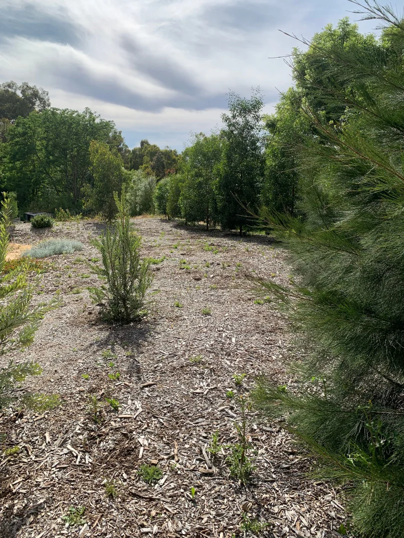 Additional image 8 of 50 WATTLE TREE ROAD, Bridgewater SA 5155