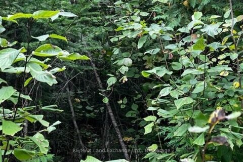 Additional image 8 of 4 Shore Road, Saugeen Shores, ON, N0H 2L0
