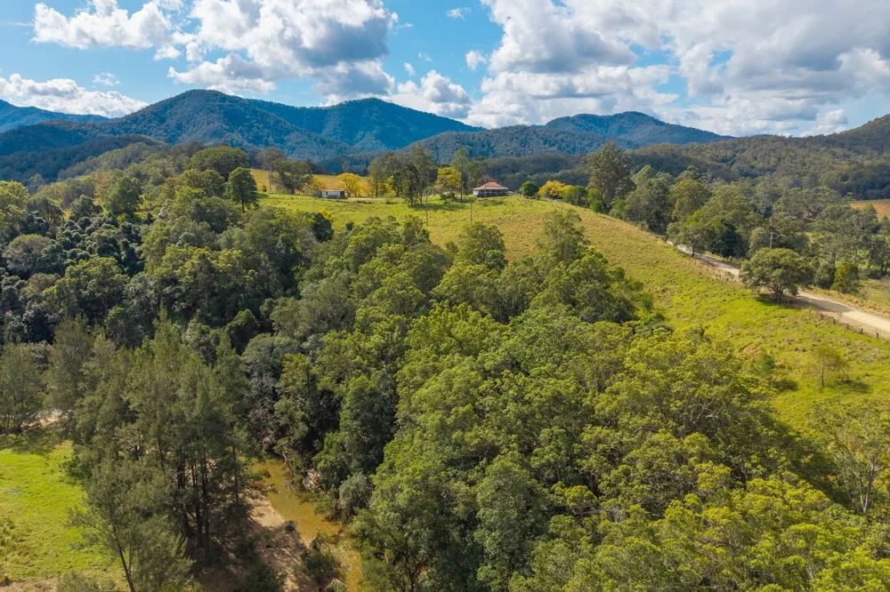 Additional image 14 of 3643 Taylors Arm Road, Burrapine NSW 2447