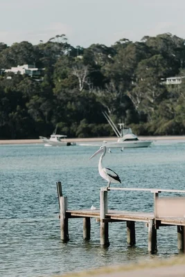 Additional image 34 of 5-7 Chapman Avenue, Merimbula NSW 2548