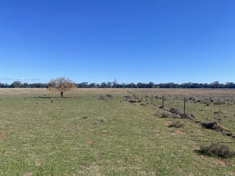 Additional image 15 of 382 Jones Lane, Condobolin NSW 2877